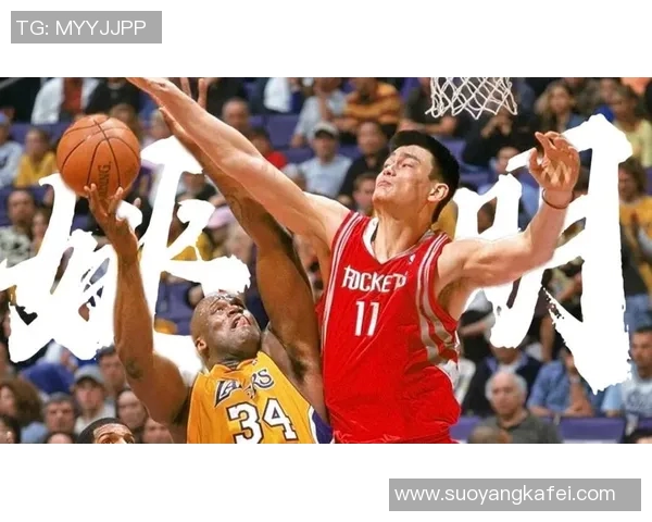 姚明颠覆时刻：从篮球巨星到国际体育文化桥梁的传奇之路