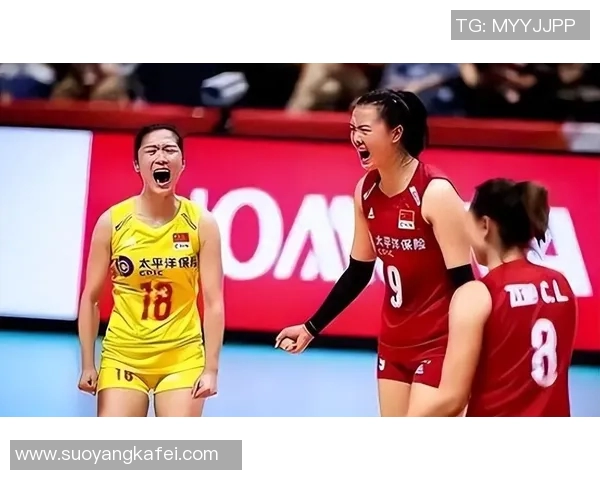 排球团队协作实力榜单揭晓北京排球队荣获第五名佳绩 排球团队协作实力榜单揭晓北京排球队荣获第五名佳绩