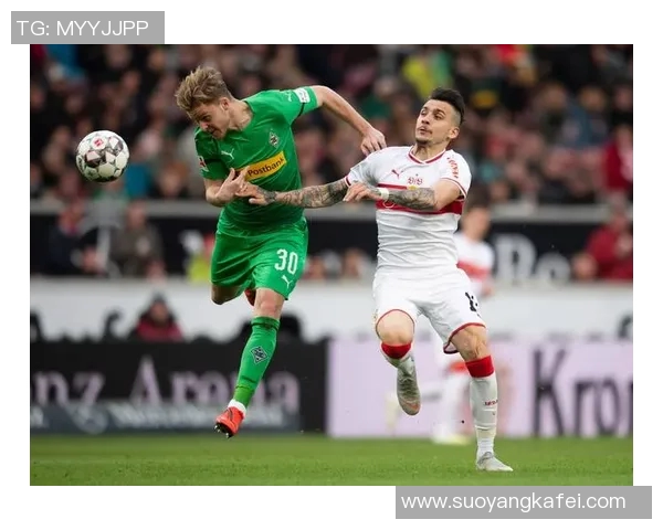 斯图加特主场胜汉堡,德甲积分榜崭露头角 斯图加特主场胜汉堡,德甲积分榜崭露头角